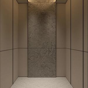 Ascensor de Pasajeros de Vidrio Moderno de Alto Rendimiento para la Construcción de Edificios Altos, Kit de Modernización de Ascensor Incluido - Product Image 5