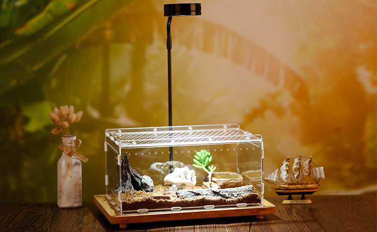 acrylic reptile enclosure 30cm