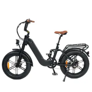 QUEENE/Big Power 20inch 48V Green Power Hidden Battery Cheap Electric Bike Chinese FAT E Bike