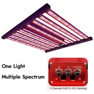 Lámpara <span class=keywords><strong>LED</strong></span> de <span class=keywords><strong>Cultivo</strong></span> de Alta Eficiencia de 800W con 3 Canales de Atenuación <span class=keywords><strong>para</strong></span> <span class=keywords><strong>Cultivo</strong></span> Comercial de Tomate, Fresa y Vegetales de Hoja Verde - Product Image 2