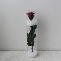 Lovebay Usine En Gros Simple Pour Toujours Rose avec Tige Everlastng Éternité Préservé Unique Rose Vraies Roses Éternelles Avec Tige