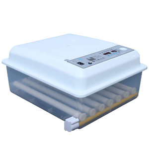 <span class=keywords><strong>2026</strong></span> नए 24/30/36 अंडे चिकन बतख गोज के लिए घरेलू उपयोग के साथ स्वचालित प्लास्टिक इनक्यूबेटर - Product Image 1