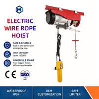 Palans électriques sans fil légers et silencieux CE 110V monophasés antirouille 150 kg pour garage, entrepôt, maison