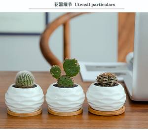 Maceta para flores suculentas, maceta creativa de cerámica, maceta pequeña de porcelana blanca suculenta, maceta para plantas (<span class=keywords><strong>planta</strong></span> no incluida) - Product Image 4