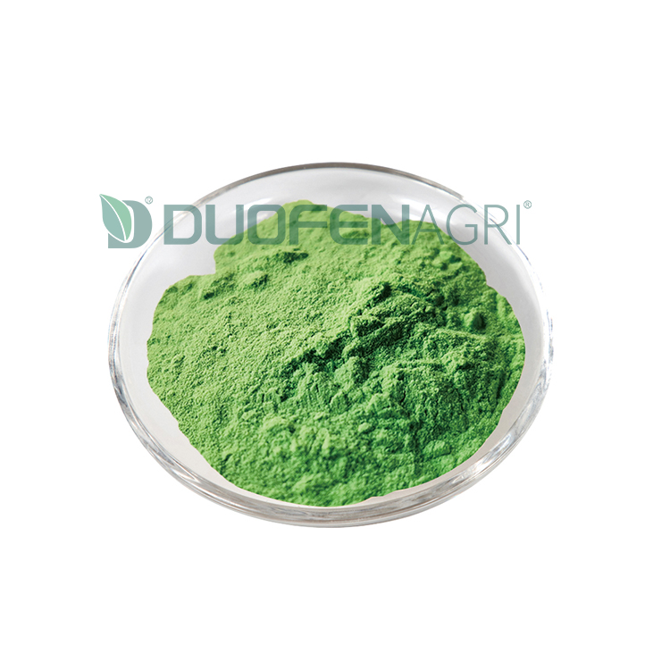 Wholesale Seaweed Powder Fertilizer for Hydroponic Crops image 4