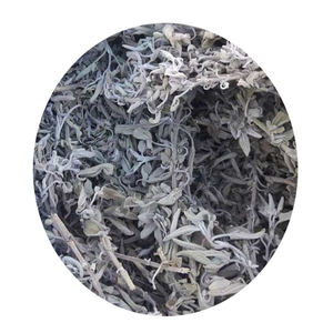 Salvia de alta calidad directamente de la fábrica Egipto Entrega rápida Procesamiento crudo seco popular Supervisión estricta Especias individuales Hierbas - Product Image 1