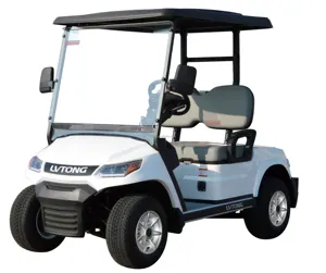 LVTONGチャイニーズ48V2シートバッテリー電気クラブカーゴルフカート