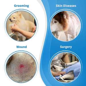 Ameliyat Sonrası Yalama Önleyici Bakım için Şeffaf Koruyucu ile Yumuşak Dolgulu Köpek Konisi, Rahat Koruyucu Evcil Hayvan İyileşme Tasması - Product Image 3