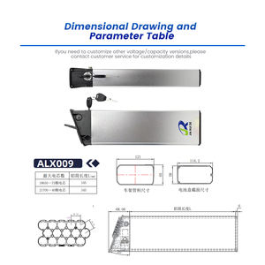 52V 10Ah 13Ah 交換用バッテリー 2022年新型EP-2 Proアップグレードバージョンバイク用内蔵バッテリー ALX009 16AH 17.5AH - Product Image 2