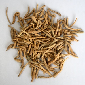 Tai <span class=keywords><strong>Zi</strong></span> <span class=keywords><strong>Shen</strong></span> 1014 thực phẩm sức khỏe tự nhiên falsestarwort gốc Radix pseudostellariae dạng bột số lượng lớn hộp gói Bao bì nguyên tươi - Product Image 1