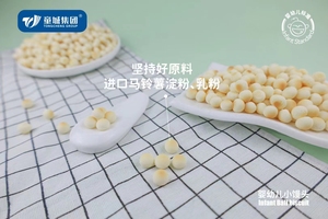 Vente chaude OEM Snack Perfect Halal Cheese Boule de biscuits aromatisés pour les enfants de plus de <span class=keywords><strong>6</strong></span> <span class=keywords><strong>mois</strong></span> sans additifs emballés dans des cartons - Product Image 4