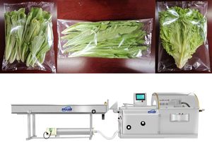 เครื่องบรรจุภัณฑ์แบบแนวนอนสำหรับผักผลไม้สดหรือแห้ง ยี่ห้อ SOULYAM รุ่น Bag Fresh สำหรับบรรจุแครอท - Product Image 2