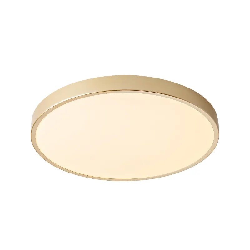 Ultra-thin 220V Round surface mounted fancy LED ceiling lamp for living room and bedroom Balcony Bathroom