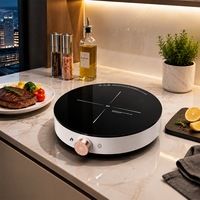 Table de cuisson à induction portable à économie d'énergie 2000W, cuisinière électrique avec protection contre la surchauffe pour restaurant et usage domestique