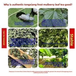 Chá de Folha de Amora Crua AD 100% Natural Orgânico Seco, Chá de Erva Única Tianbai 500g Verde para Saúde e Bem-Estar - Product Image 5