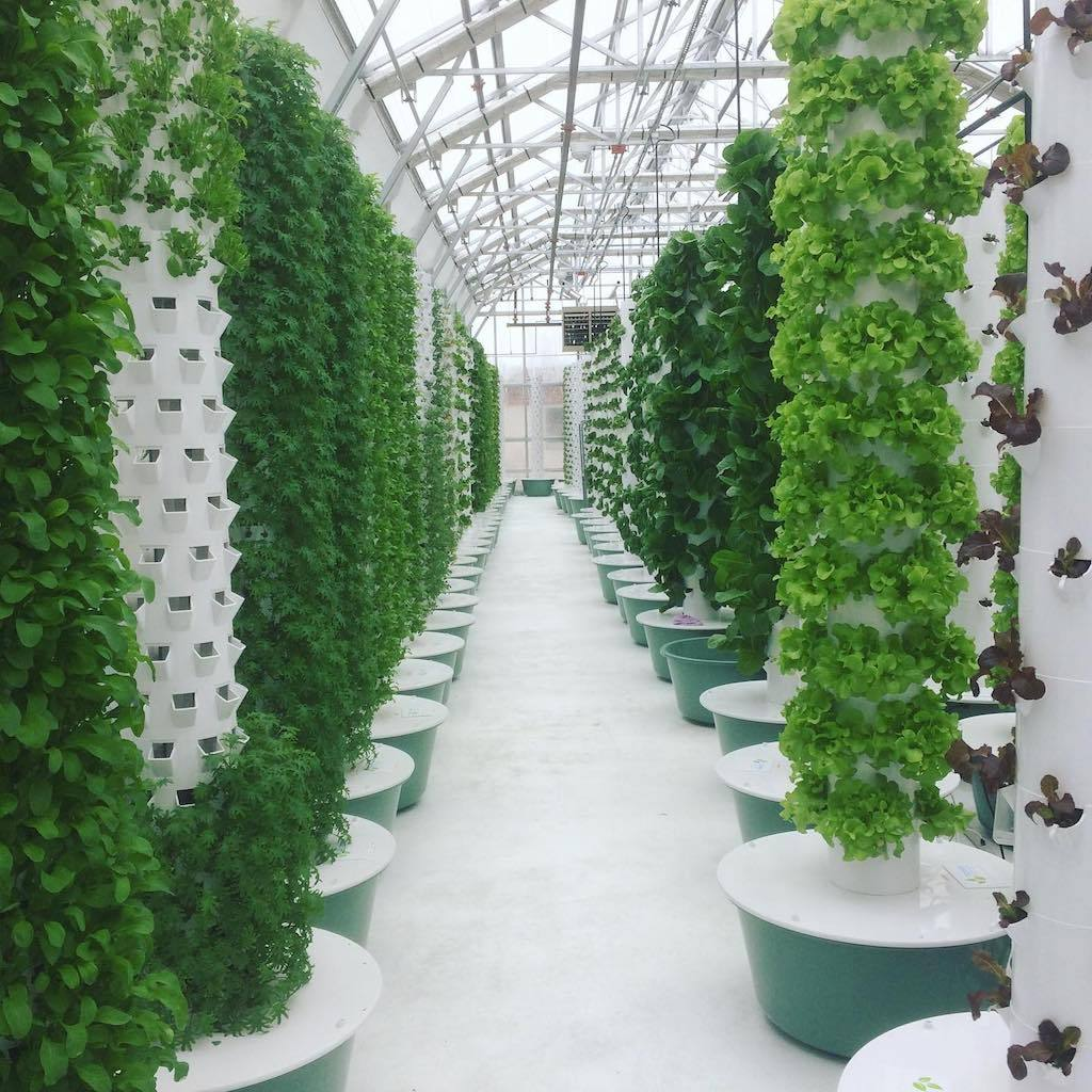 NEW hydroponics vertical motorized rotating garden aeroponic tower farm rotating system vertical garden tower farming