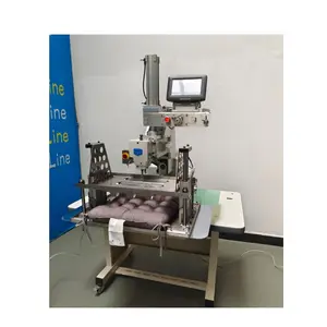 Direct Drive Integrated Feed Double Needle Flat Sewing Machine Automotive Foot Cushion Special Sewing Machine