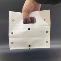 Nouveaux sacs en papier kraft blancs durables pour l'emballage des fruits avec trous d'aération, impression de logo personnalisée, emballés en carton pour les raisins