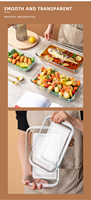 Ensemble de cuisson en verre borosilicate Hokoo avec plat rectangulaire et couvercle, ustensiles de cuisson écologiques, plat à four