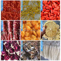 Séchoir à pompe à chaleur pour bois, légumes, champignons, poisson, fruits, biltong et oignons