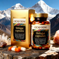 Capsules de Résine de Shilajit Pur – Soutien Énergétique et d'Endurance – Supplément de Shilajit en Vrac – Certifié GMP ISO – Riche en Acide Fulvique – Adaptogène – Vitalité – OEM