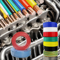 Kabel Listrik 10AWG 2 Konduktor Merah Hitam PVC Paralel Bebas Oksigen Tembaga Berlapis Timah 600V untuk Lampu LED Strip, Penerangan, dan Otomotif