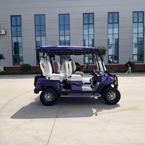 Voiture de golf de luxe 4 places, nouvelle conception, avec contrôleur intelligent et programmable pour moteur AC, à vendre - Product Image 6