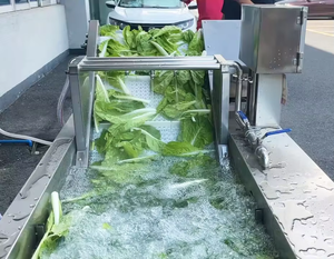 Electric <b>fruit</b> and <b>vegetable</b> cleaning <b>machine</b>, prefabricated <b>vegetable</b> <b>processing</b> equipment - Product Image 4