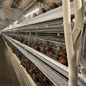 Modern h-tipi 4 katmanlı otomatik tavuk Broilers kafes sistemi ev kullanımı için gübre kemer yumurta tavukları için dahil kümes hayvancılığı - Product Image 1