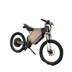 Entrepôt européen vélo électrique pas pliable vélo électrique 3000w/5000w/8000w 40ah gros pneu vélo électrique tricycles pour adultes