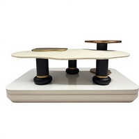 Table basse en bois moderne et durable pour salon, mobilier de maison avec un design spacieux