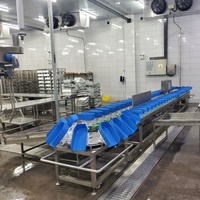 Échelle de classification pour l'équipement de nouvelle génération des abattoirs de volailles, disponible à la vente pour les industries d'abattage de volailles