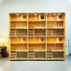 Современная клетка для кошек из массива дерева, роскошный кошачий домик с большой стеклянной дверью, многофункциональная вилла для демонстрации и содержания в зимнее время - Product Image 2