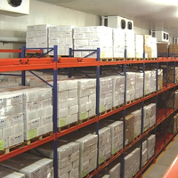 Push-Back-Palettenregal + Gabelstapler-Betriebenes Push-Back-Regal für 3PL-Logistik Lager Chargenbestandsaufbewahrung