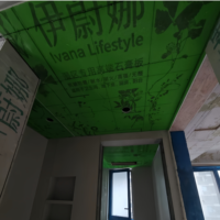 Plaque de plâtre ignifuge pour une construction sécurisée |   Panneaux muraux résistants à l'humidité et à haute résistance pour les murs intérieurs