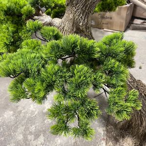 Cây Bonsai nhân tạo lớn cây xanh chào đón cây thông cho vườn ngoài trời dự án trang trí cây giả trong nhà cây xanh lớn - Product Image 3