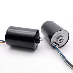 TT 공장 도매 업자 36mm 고정밀 BLDC 모터 12v 24v 30W 50W 잔디 깎는 기계용 긴 수명