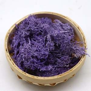 W-3078 गर्म बिक्री थोक विभिन्न रंग संरक्षित नीले मटर के पैनल - Product Image 4