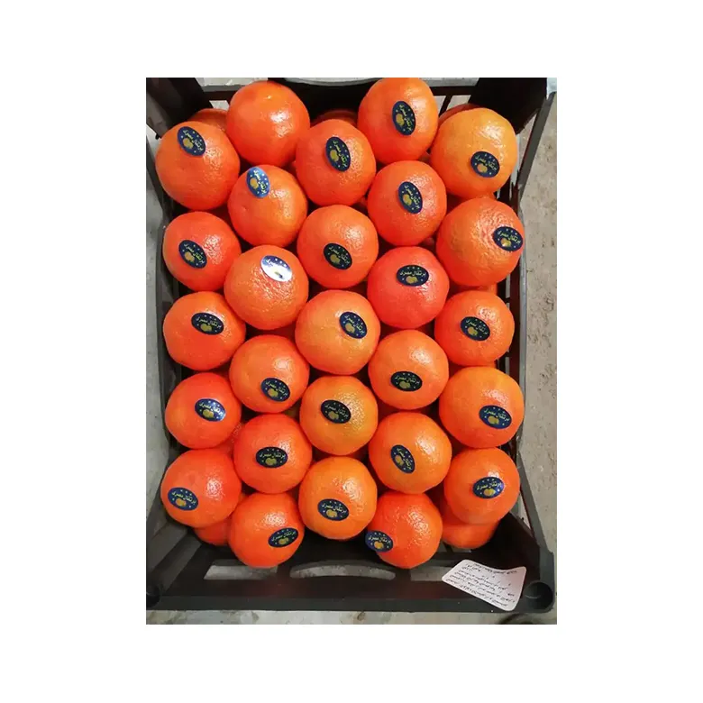 High Quality Price Trade Exporters Suppliers Fresh Hydration Blood Fresh Honey Sweet Mandarin Orange For Sale