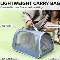 Sac de transport pour chat respirant, pliable, grande capacité, pour voyages en extérieur, accessoires pour animaux de compagnie