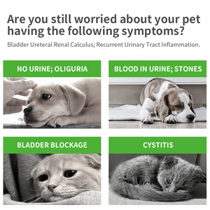 Todo un tracto urinario Salud <span class=keywords><strong>del</strong></span> riñón Masticables suaves para perros y gatos con arándano D-Manitol Raíz de malvavisco-Soporte urinario felino - Product Image 3