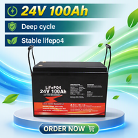Batería de Litio de 24V 100Ah LiFePO4 de Ciclo Profundo para Almacenamiento de Energía Solar para Sistemas Fuera de la Red