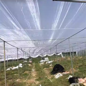 100% nuevo HDPE UV estabilizado invernadero insectos red 30 40 5 <span class=keywords><strong>0</strong></span> malla Anti insectos redes para agricultura granja fruta mosca - Product Image 5