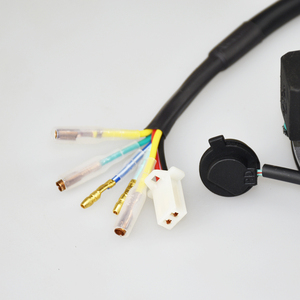 Moteur 14,1-temps avec Rotor, sans lumière, pour zonnshen, 150/155cc, KAYO, SDG, SSR, vélos hors route - Product Image 6