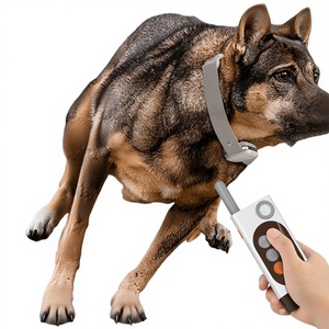 <span class=keywords><strong>Collar</strong></span> de Adiestramiento para Perros con Control Remoto Antiladridos, Sin Descargas Eléctricas, con Grabación, Modelo PZH-X03 (Material ABS) - Product Image 1