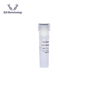 Anticorps de lapin CIRBP ES10797 de haute qualité - Product Image 3