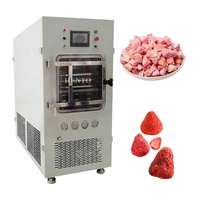 Automatische vacuümvriesdroger voor fruit- en groentechips / Vacuümvriesdroger voor voedsel / Vacuümvriesdroogmachine