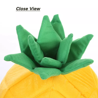 Lit pour chat portable en peluche de velours de conception personnalisée en forme d'ananas