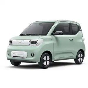 Neue Innovation Mini EV Wuling neues Energie-Elektrofahrzeug EV Auto Macaron kleine intelligente Autohersteller