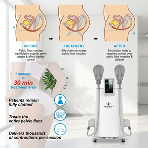 Produits très vendus Cliniques de santé Guérison post-partum Incontinence urinaire Appareil d'entraînement électrique du plancher pelvien - Product Image 1